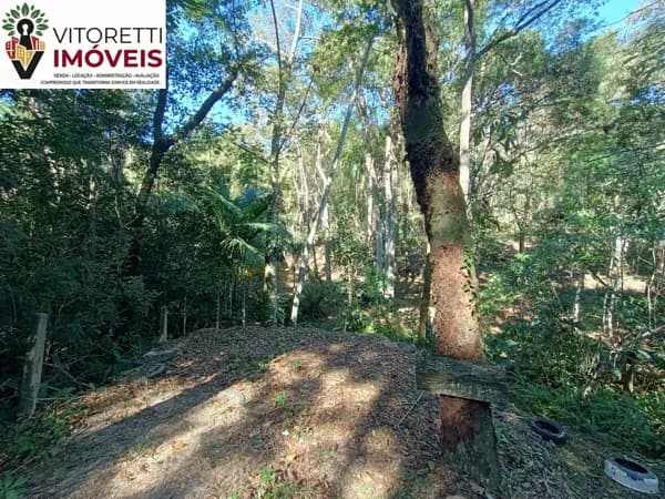 Terreno com 4.680m², Vargem Grande - Florianópolis/SC