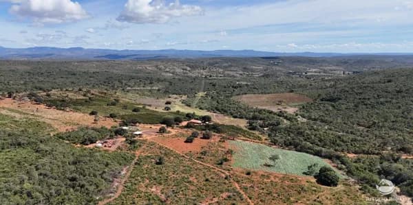 FAZENDA EM GRÃO MOGOL/MG - CAFEICULTURA