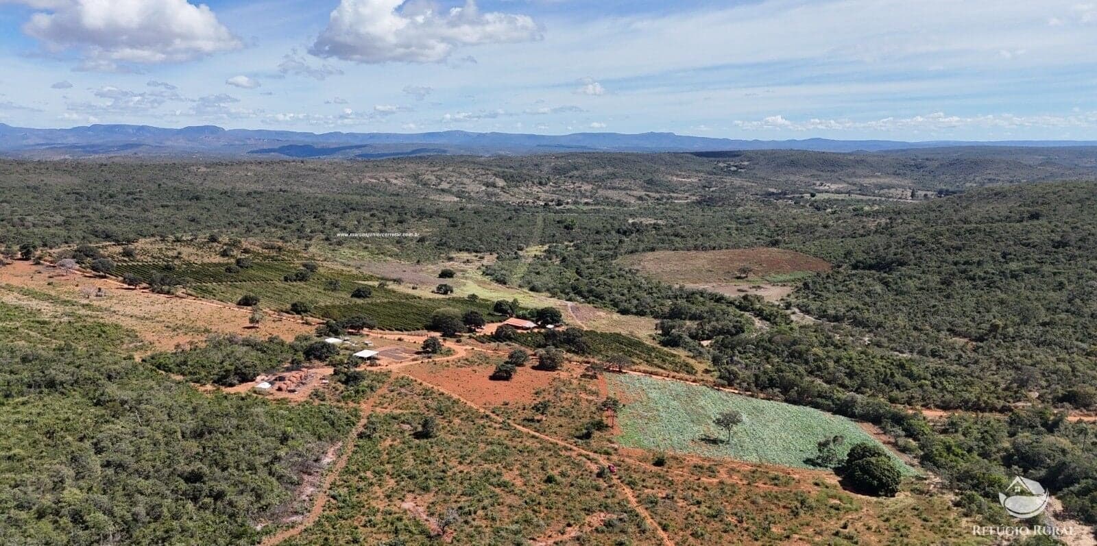 FAZENDA EM GRÃO MOGOL/MG - CAFEICULTURA