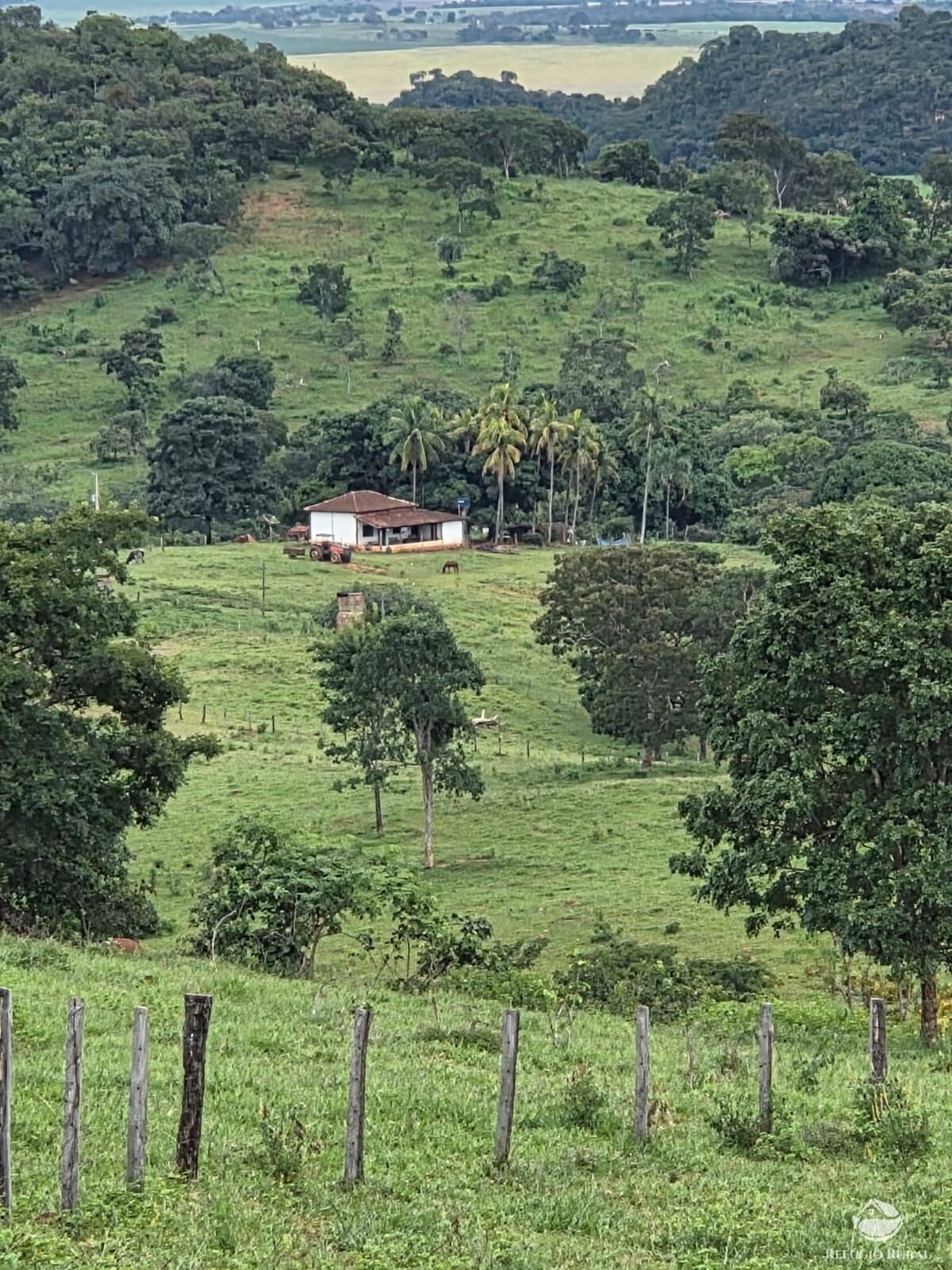 FAZENDA EM GOIANÉSIA/GO