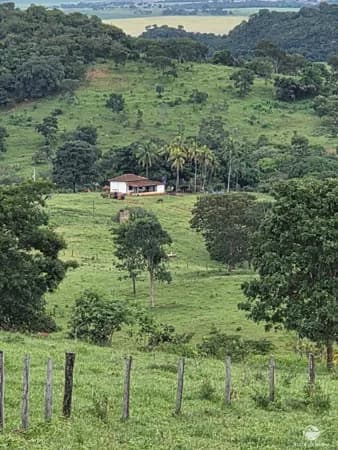 FAZENDA EM GOIANÉSIA/GO