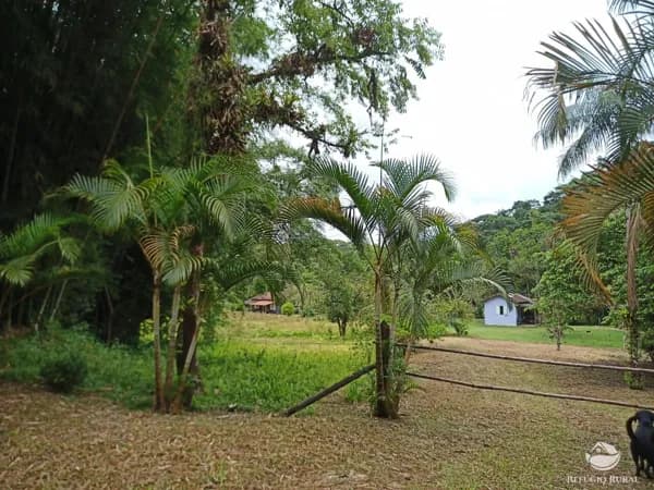 SÍTIO EM IGUAPE/SP