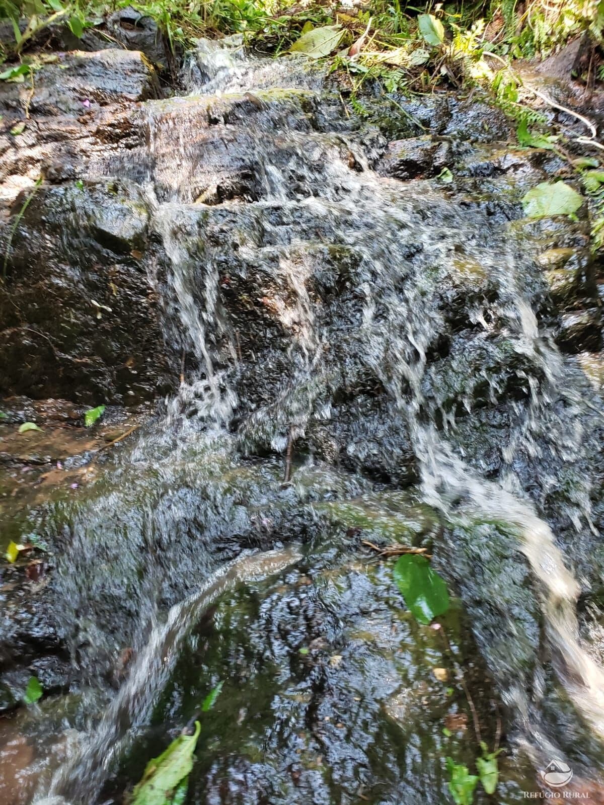 SÍTIO EM MONTEIRO LOBATO/SP