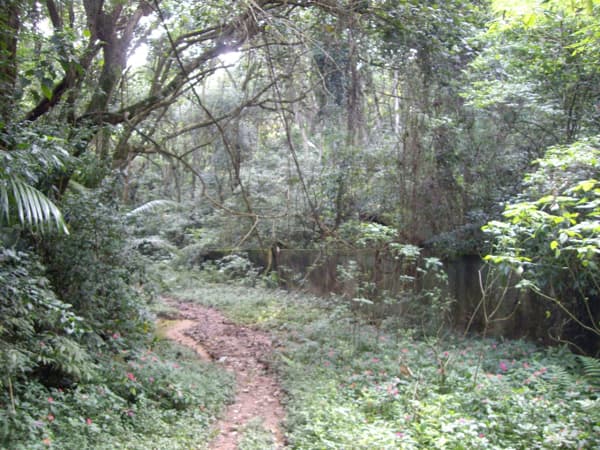 Terreno à venda no bairro Chácara Vista Alegre em São Paulo/SP