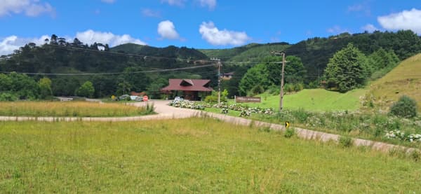 Terreno à venda no bairro Vila Nova em Joinville/SC