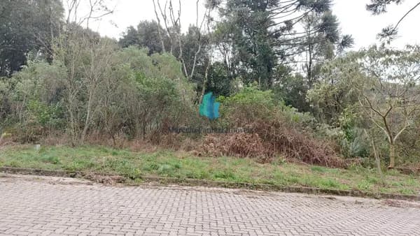 Lote/Terreno em Bento Gonçalves - Santo Antão