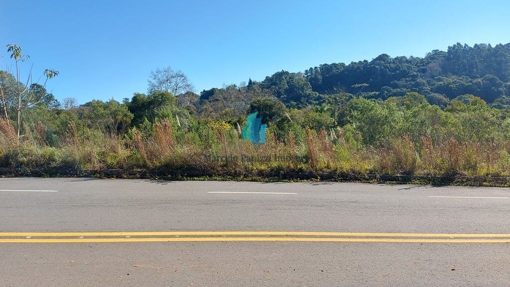 Lote/Terreno em Bento Gonçalves - Santo Antão