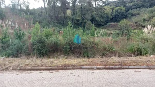 Lote/Terreno em Garibaldi - Tamandaré