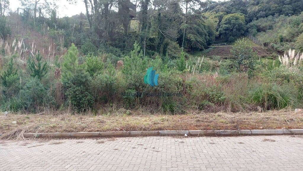 Lote/Terreno em Garibaldi - Tamandaré