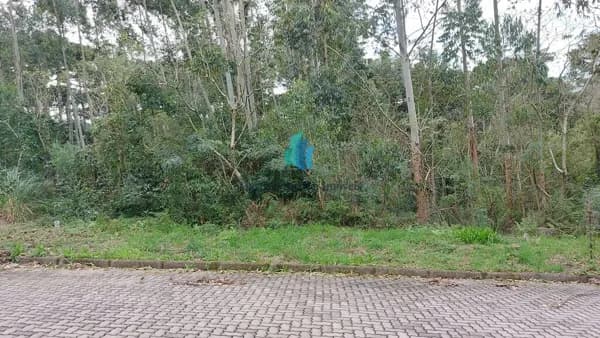 Lote/Terreno em Bento Gonçalves - Santo Antão