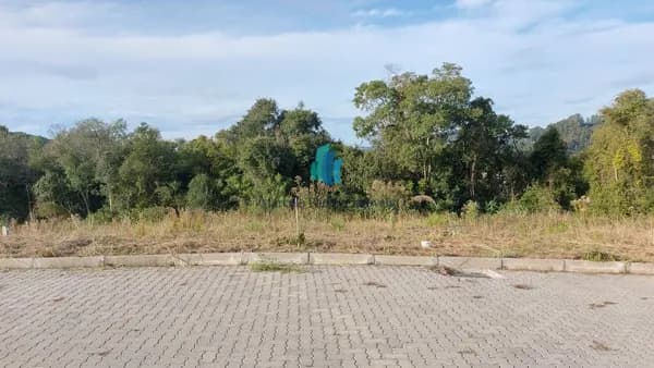 Lote/Terreno em Garibaldi - Tamandaré