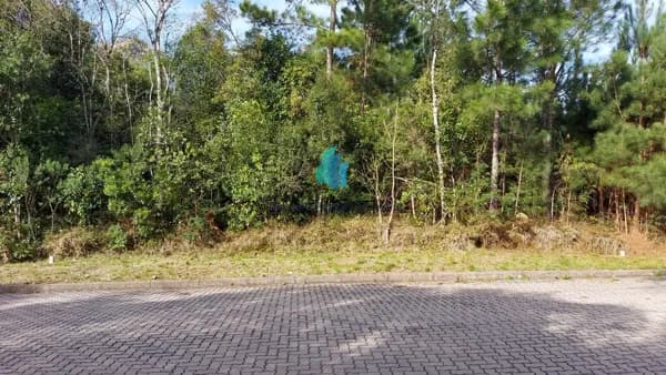 Lote/Terreno em Bento Gonçalves - Santo Antão