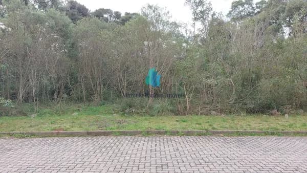 Lote/Terreno em Bento Gonçalves - Santo Antão