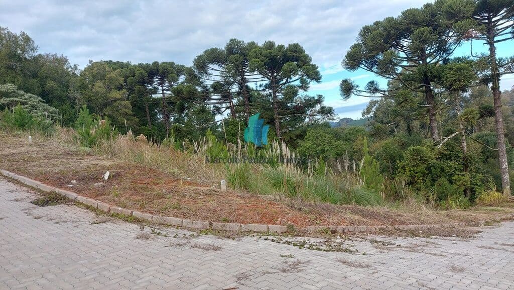 Lote/Terreno em Garibaldi - Tamandaré