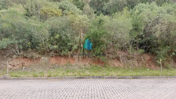 Lote/Terreno em Bento Gonçalves - Santo Antão