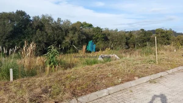 Lote/Terreno em Garibaldi - Tamandaré