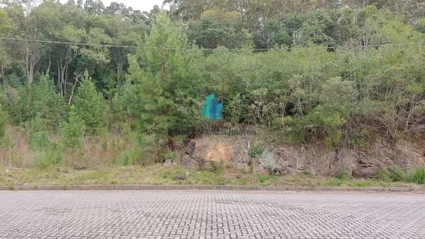 Lote/Terreno em Bento Gonçalves - Santo Antão