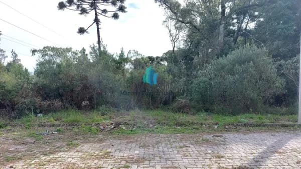 Lote/Terreno em Bento Gonçalves - Santo Antão