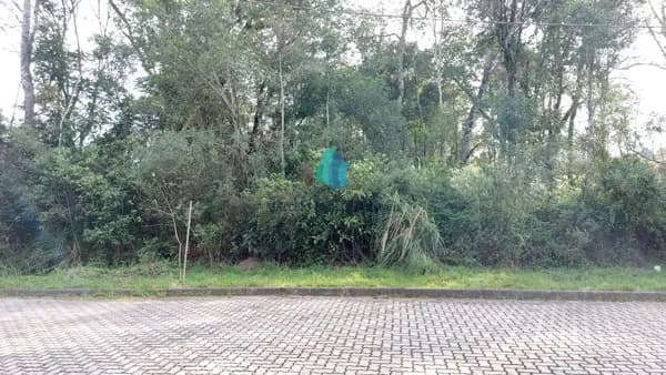 Lote/Terreno em Bento Gonçalves - Santo Antão