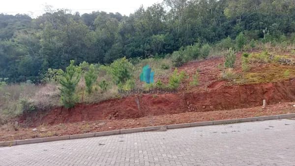 Lote/Terreno em Garibaldi - Tamandaré