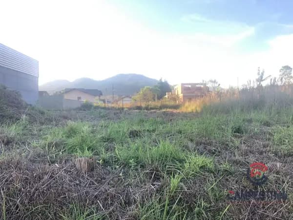 Terreno à venda no bairro Divinéia em Rio dos Cedros/SC