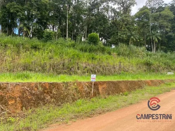 Terreno à venda no bairro Divinéia em Rio dos Cedros/SC