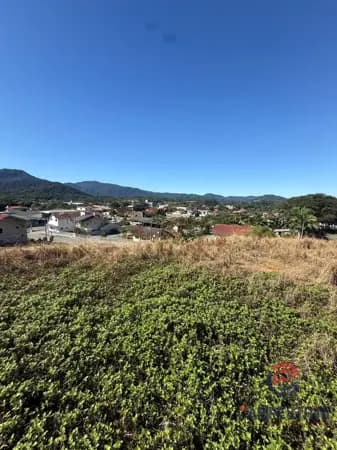 Terreno à venda no bairro Divinéia em Rio dos Cedros/SC