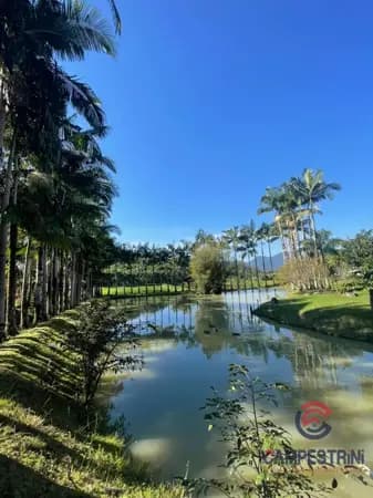Sítio à venda no bairro Divinéia em Rio dos Cedros/SC