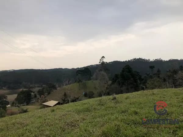 Terreno à venda no bairro Alto Cedros em Rio dos Cedros/SC