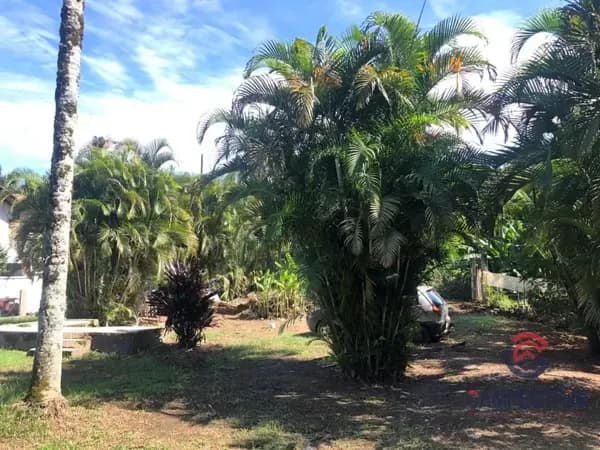 Terreno à venda no bairro Capitais em Timbó/SC