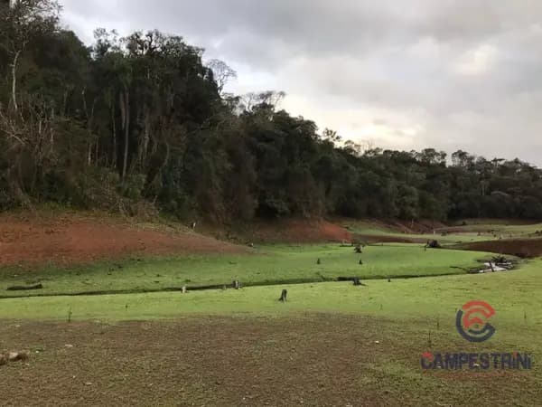 Terreno à venda no bairro Alto Cedros em Rio dos Cedros/SC