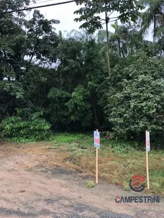 Terreno à venda no bairro Divinéia em Rio dos Cedros/SC