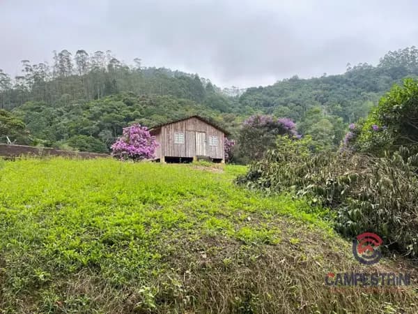 Casa à venda no bairro Centro em Benedito Novo/SC