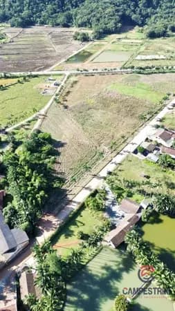 Terreno à venda no bairro Santo Antonio em Rio dos Cedros/SC