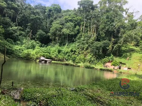 Sítio à venda no bairro Rio Rosina em Rio dos Cedros/SC