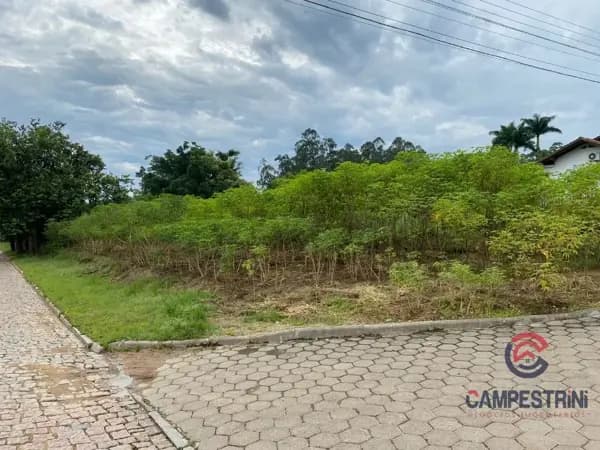 Terreno à venda no bairro Divinéia em Rio dos Cedros/SC