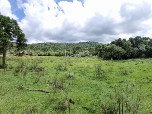Área rural com 80 hectares em Urupema SC