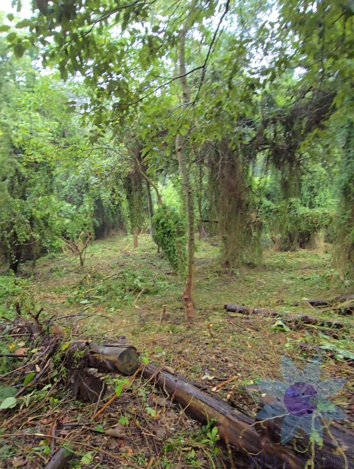 Lote/Terreno em Jandira - Nova Higienópolis