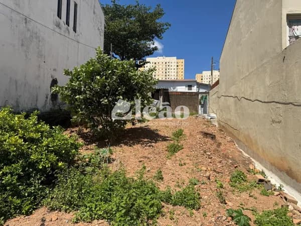 Terreno residencial à venda no Jardim Pita, Campinas/SP