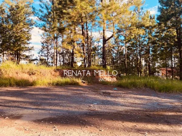 Terreno totalmente plano