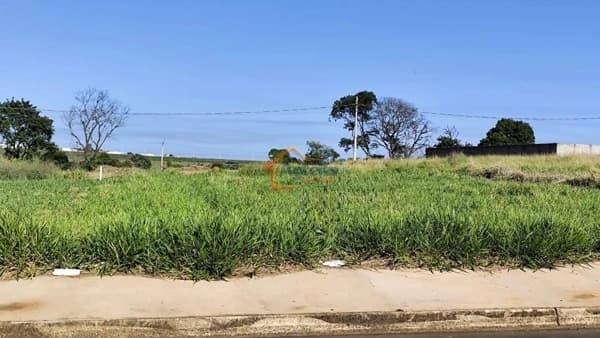 Lote/Terreno em Mogi Mirim - Jardim Murayama