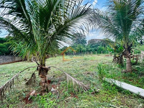 Fazenda/Sítios/Chácaras em Mogi Mirim - CHÁCARA CACHOEIRA