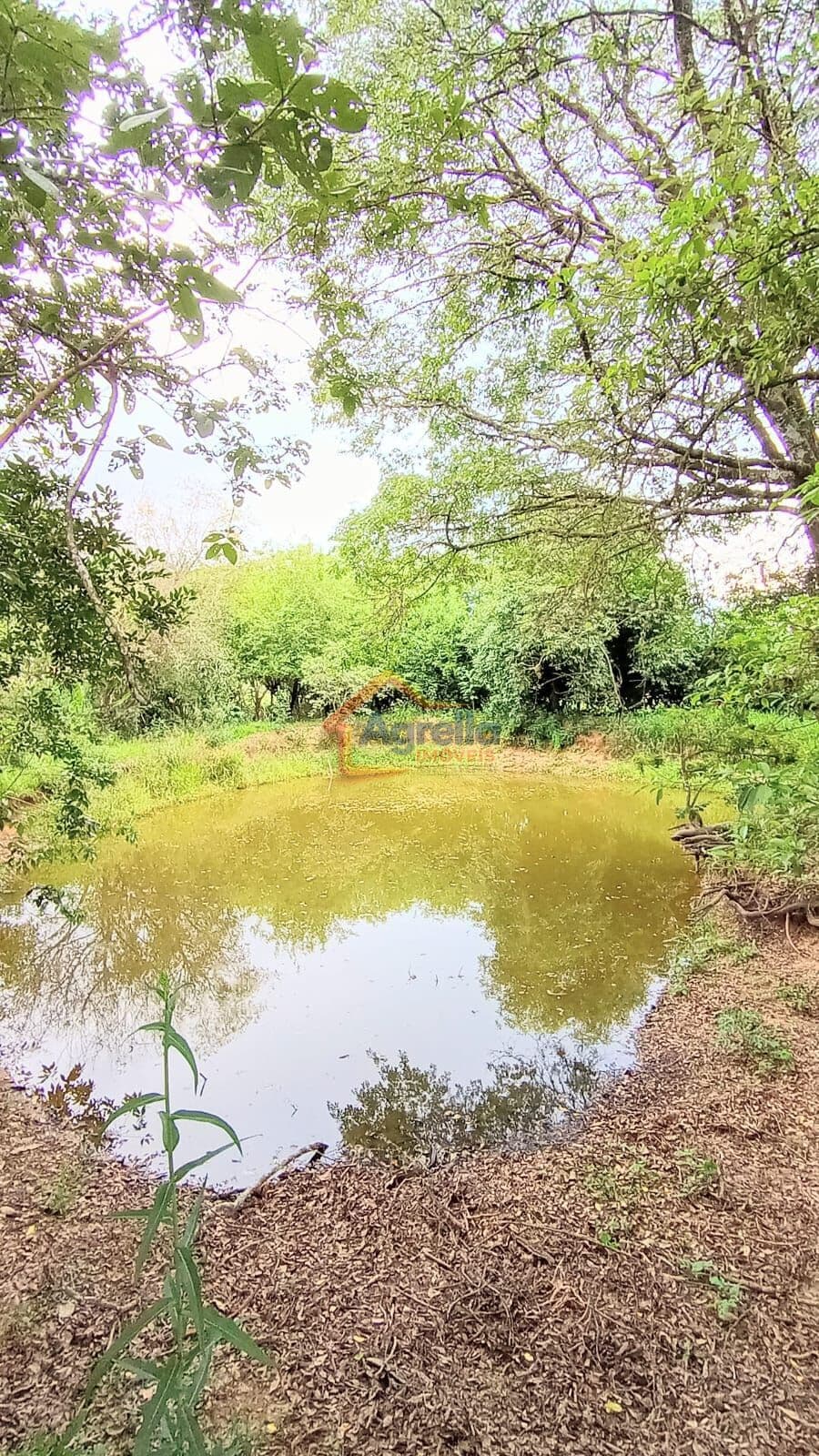 SÍTIO COM NASCENTE E LAGO À VENDA EM ARTUR NOGUEIRA - SP