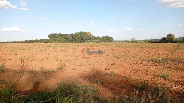 Fazenda/Sítios/Chácaras em Mogi Mirim - Martim Francisco