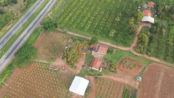 SÍTIO PRODUTIVO COM DUAS CASAS, BARRACÃO E CULTURAS FORMADAS