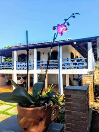 Fazenda/Sítios/Chácaras em Mogi Mirim - Chácara São Marcelo