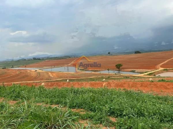 Fazenda/Sítios/Chácaras em Itapira - Área Rural de Itapira