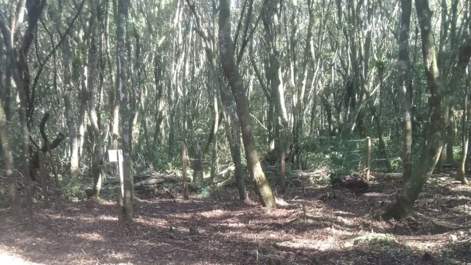 Excelente Oportunidade de Investimento Terreno Inteiro Cercado