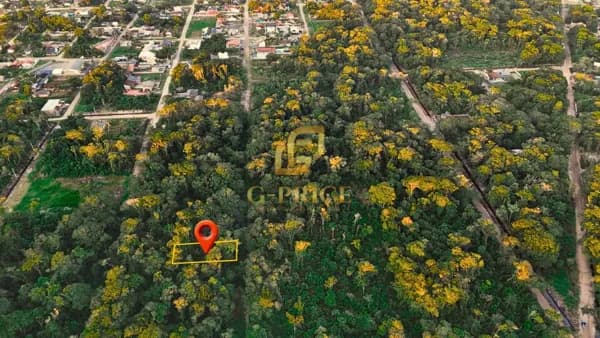 Oportunidade de Investimento Terreno Inteiro com Acesso até o Lote