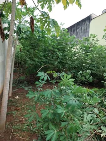Terreno à Venda no Bairro Madre Paulina – Salto/SP